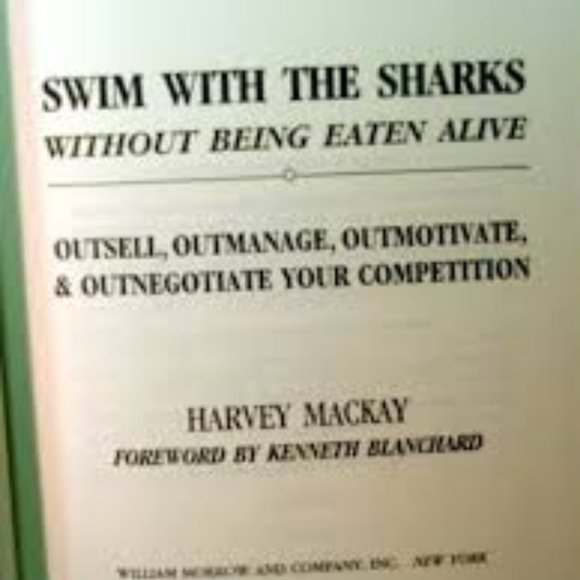 Swim with the Sharks Without Being Eaten Alive - Picture 3 of 16